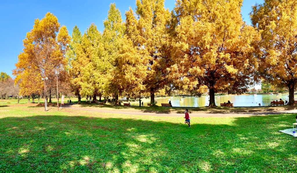 川越水上公園