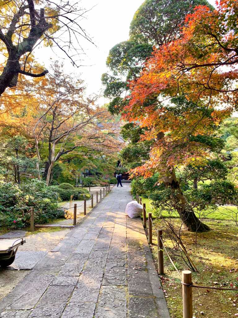 中院