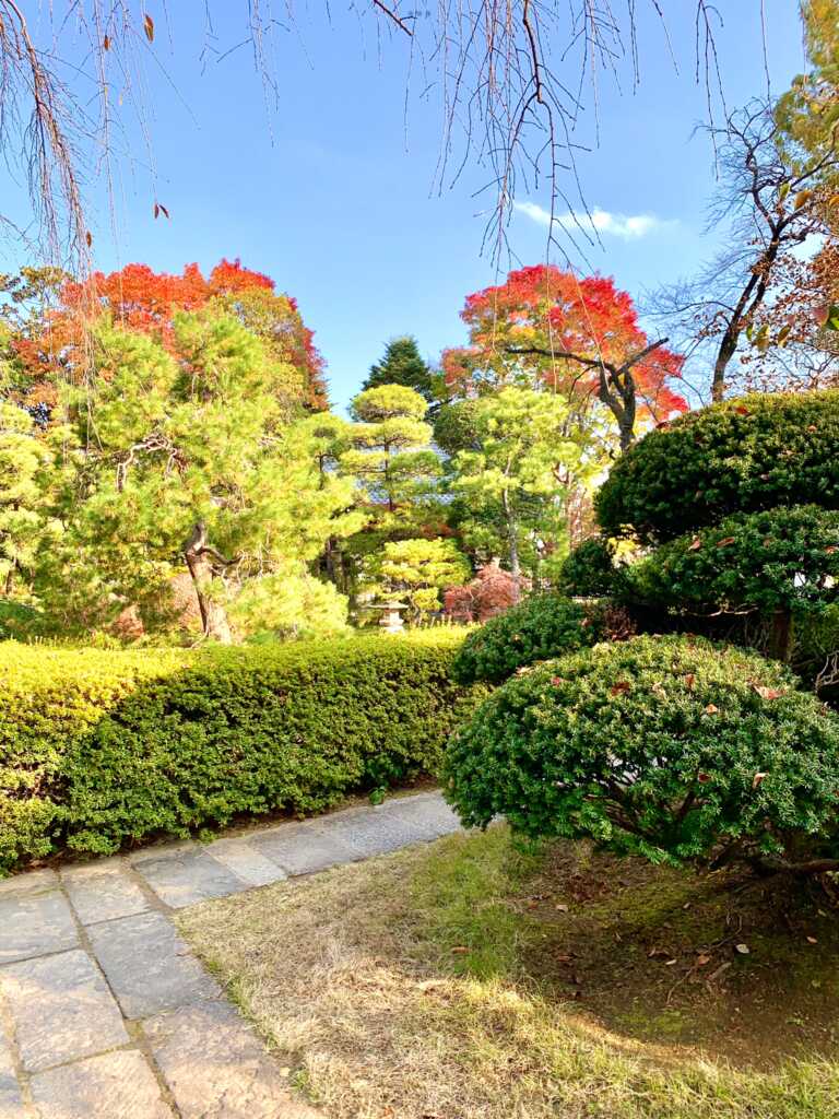 中院
