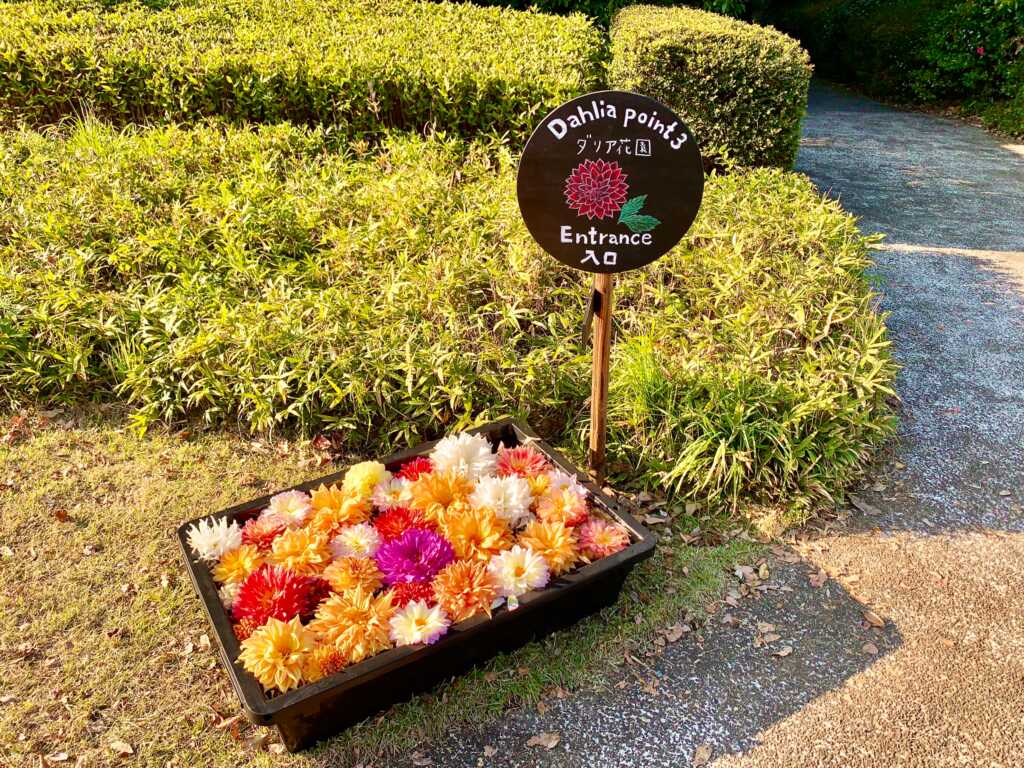 森林公園