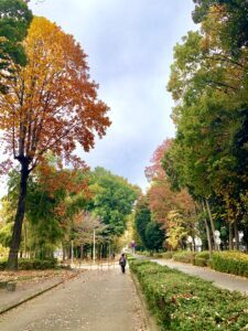 富士見緑地通り