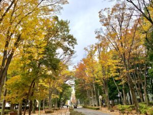 富士見緑地通り