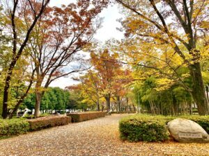 富士見緑地通り