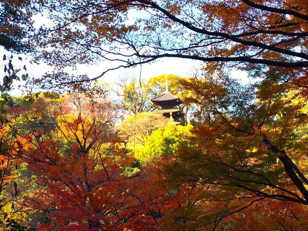椿山荘