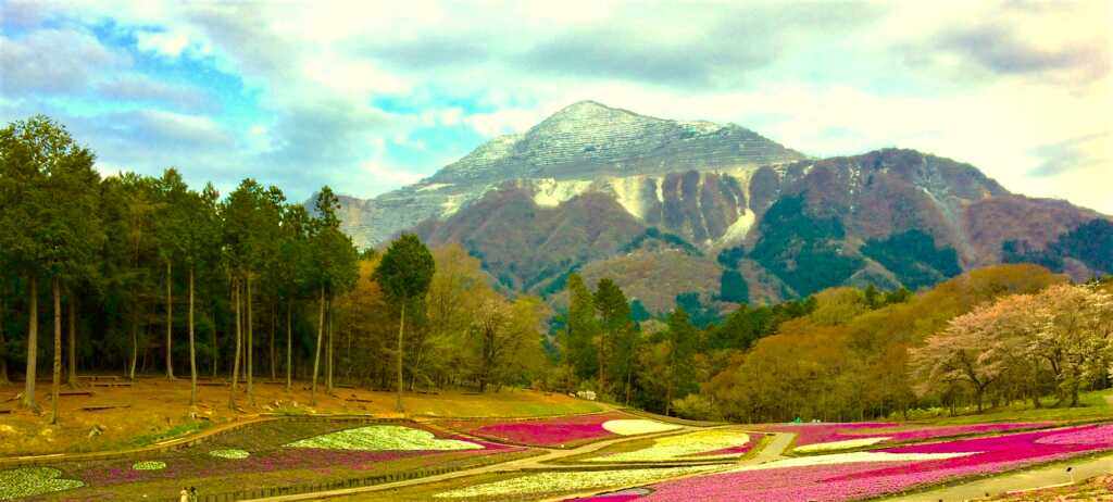 秩父 羊山公園からの武甲山