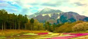 秩父 羊山公園からの武甲山