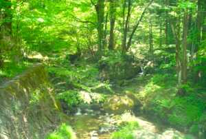 秩父 「はなのや」近くの様子