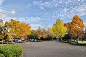 鶴ヶ島運動公園