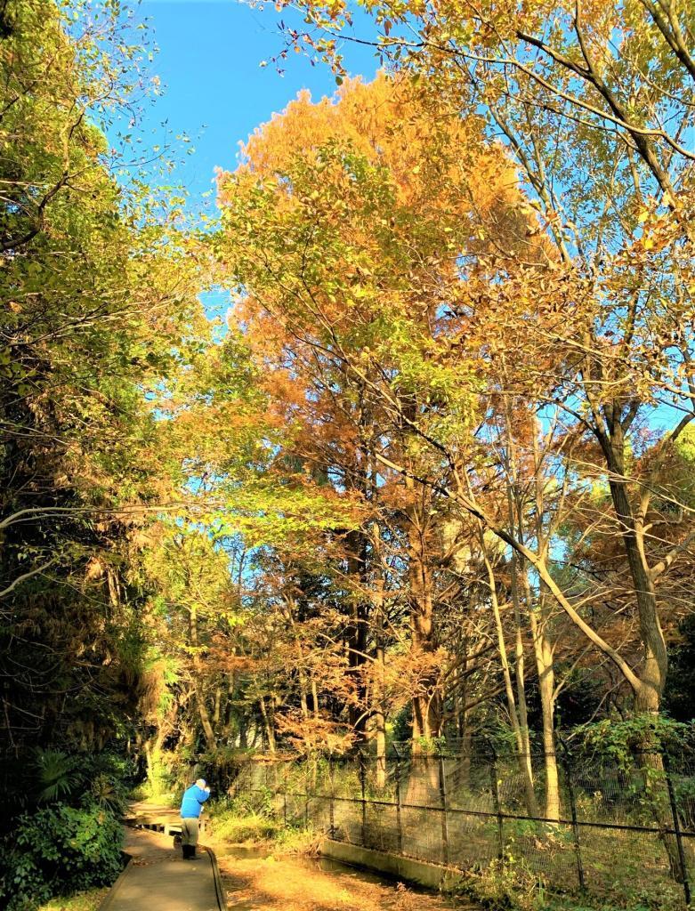 智光山公園