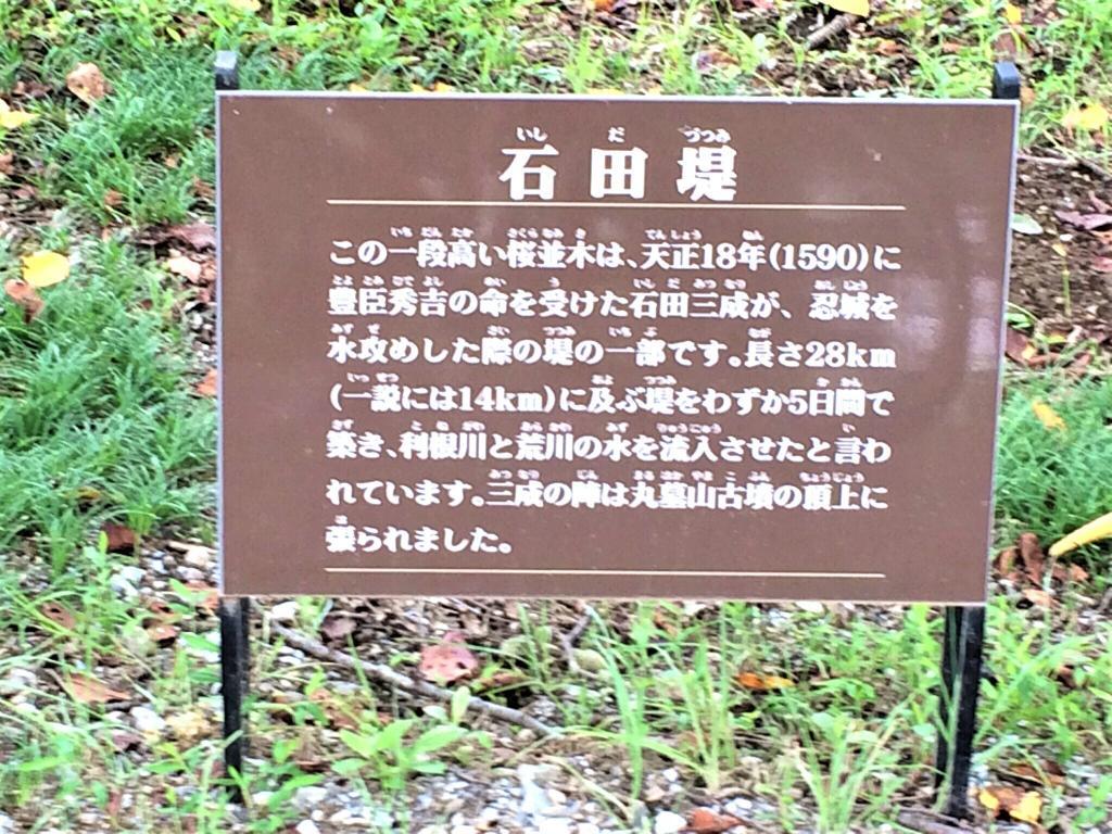 行田