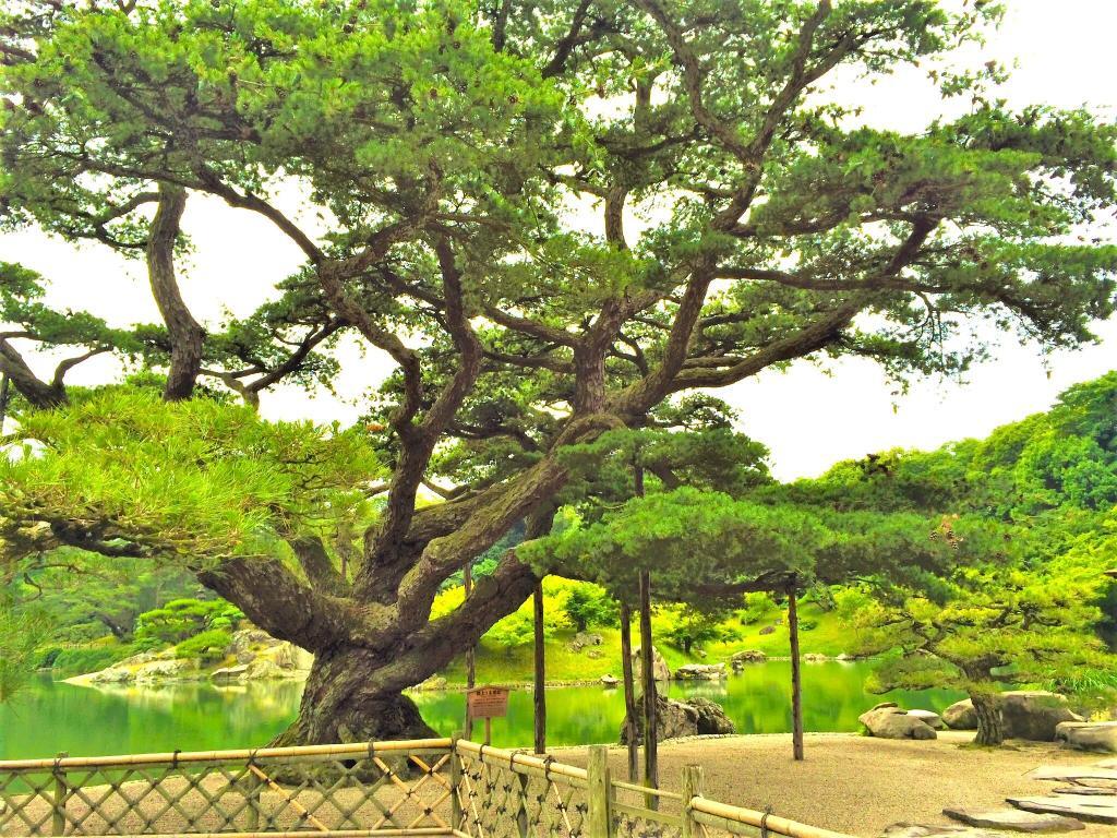 栗林公園