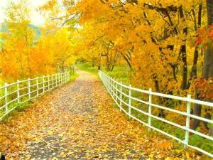札幌　真駒内公園の様子