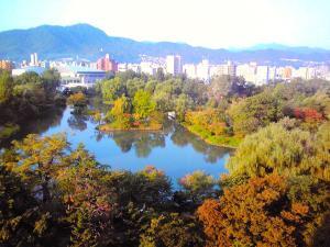 札幌 ノボテルホテル(今は、プレミアホテル中島公園 札幌)のお部屋からの中島公園(秋)