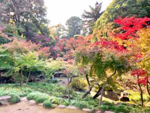 秋の川越・喜多院 (客殿(有料エリア)より)