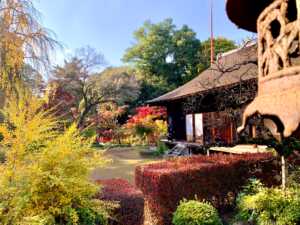 秋の川越・喜多院 (客殿(有料エリア)より)