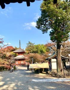 秋の川越・喜多院 (客殿(有料エリア)より)