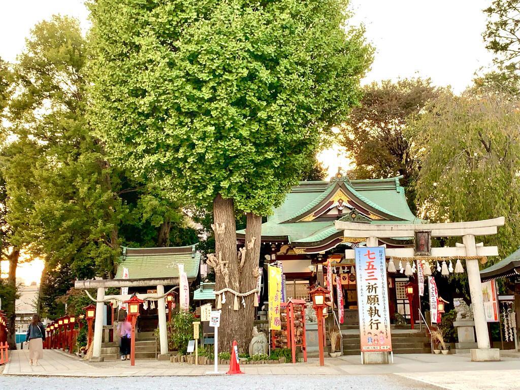 川城