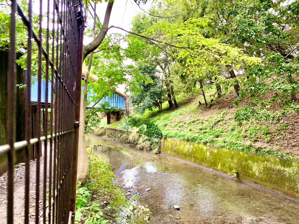 玉川上水