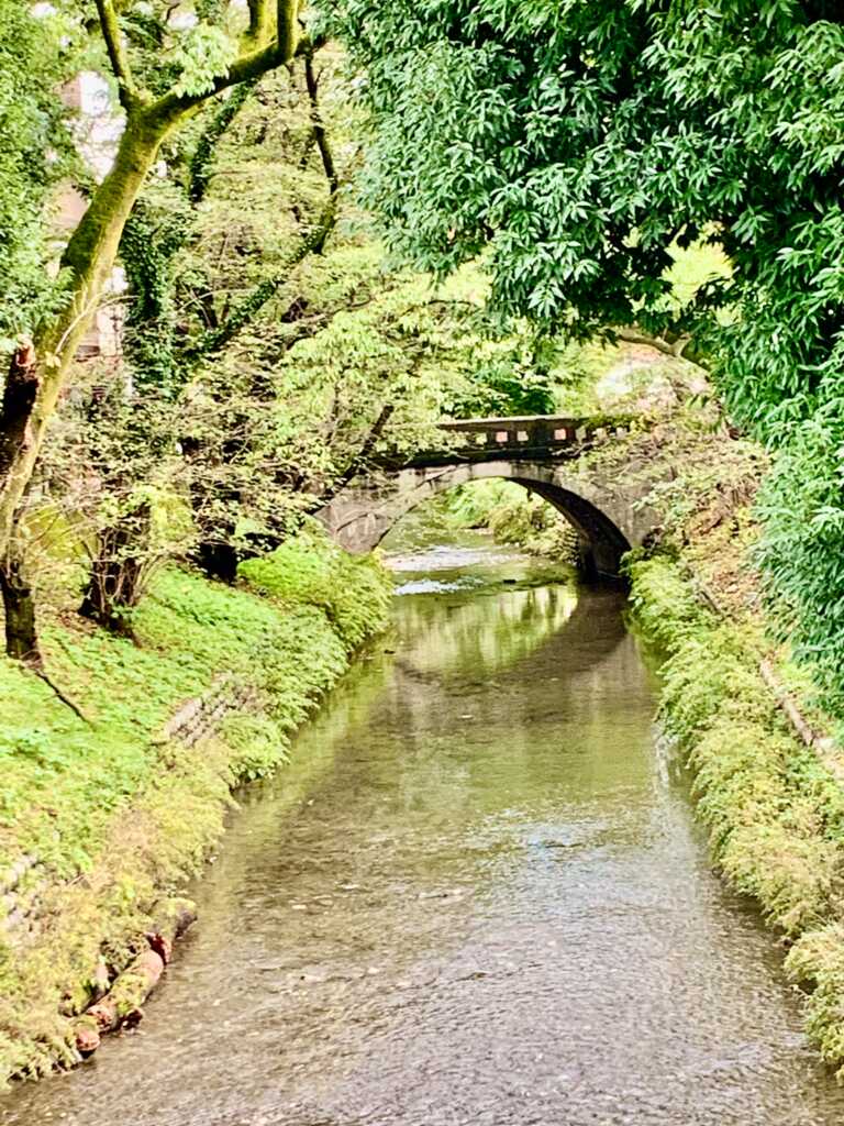 玉川上水