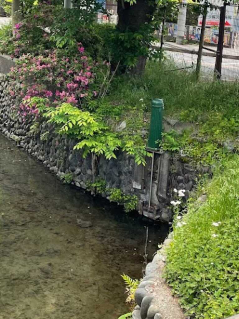 玉川上水