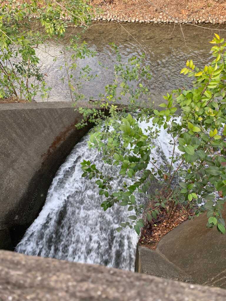 玉川上水