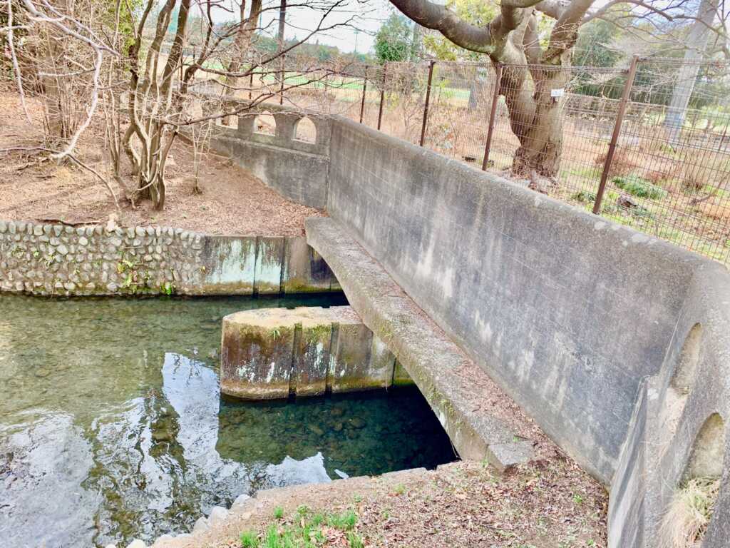 玉川上水