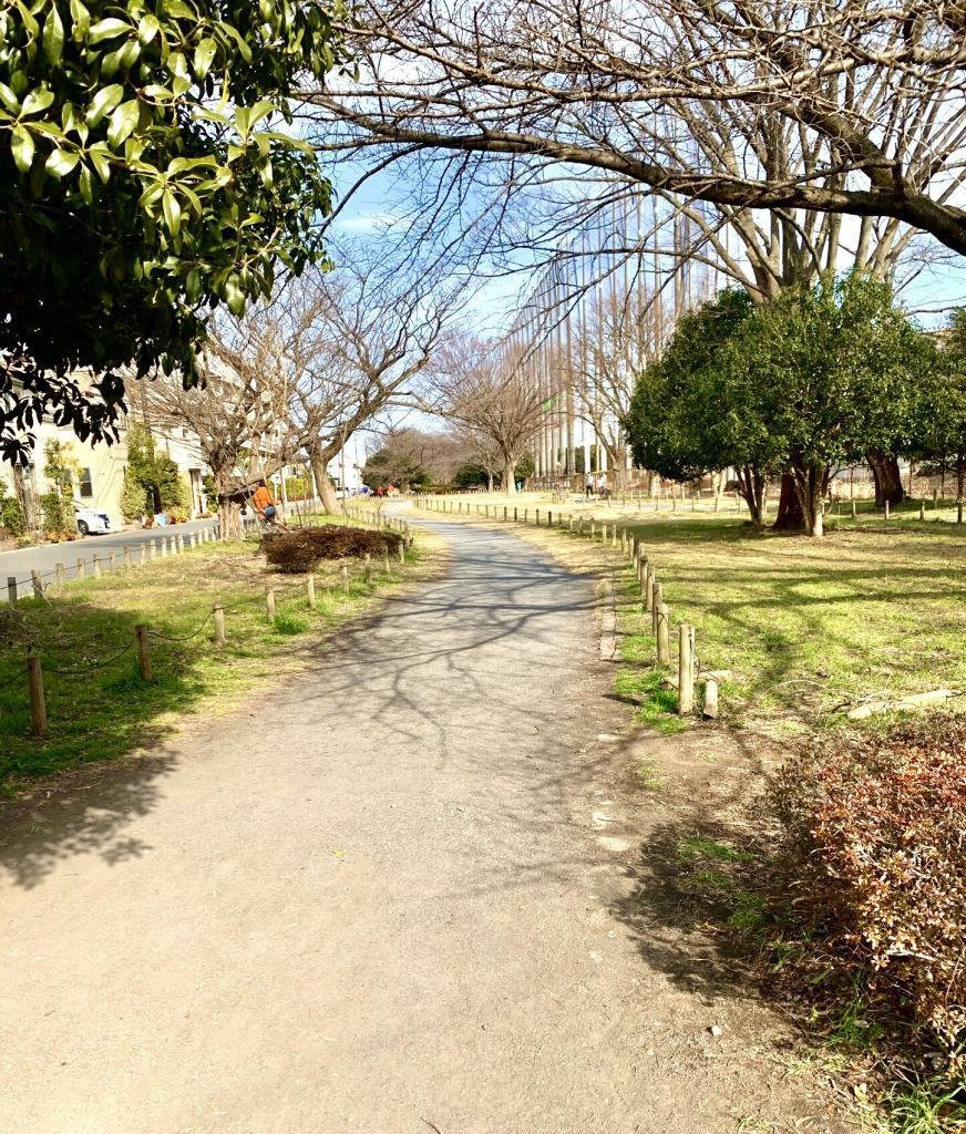 玉川上水