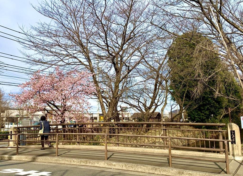 玉川上水
