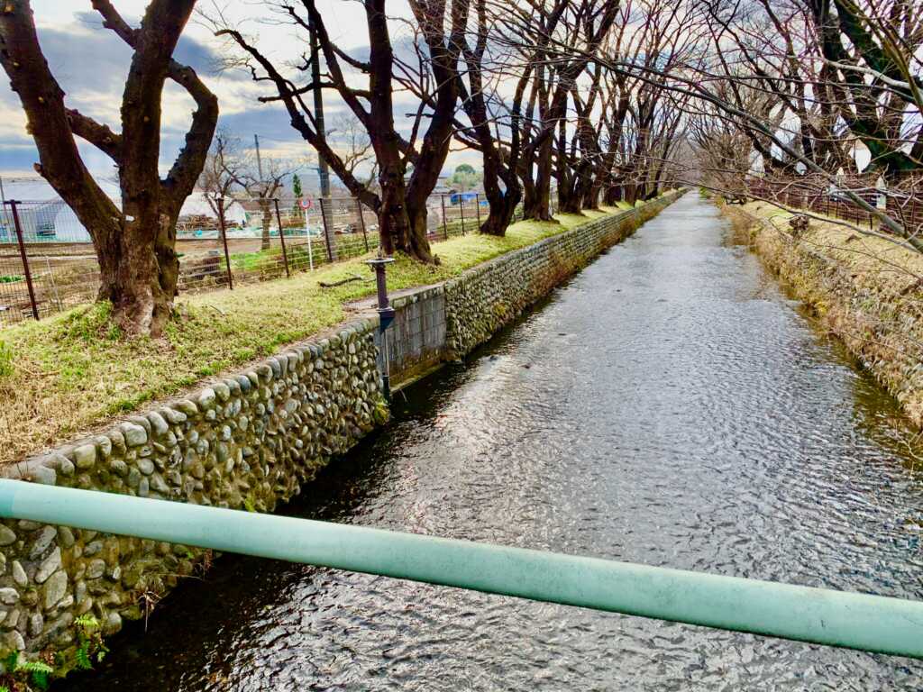 玉川上水