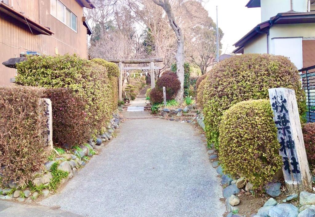 玉川上水