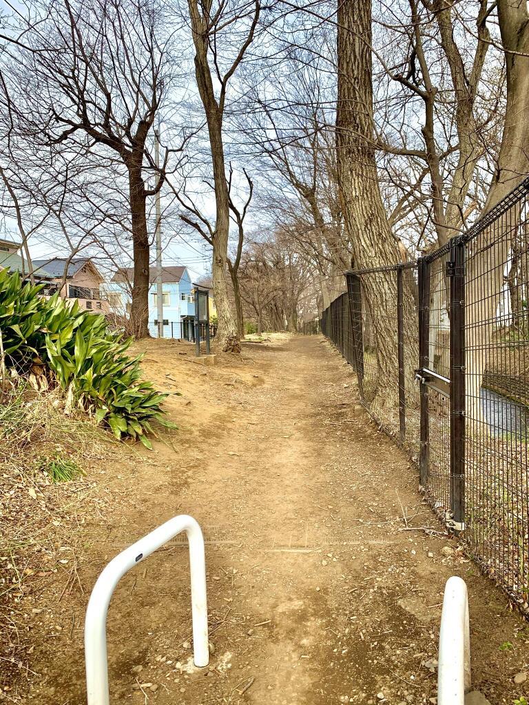 玉川上水