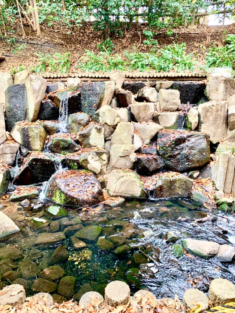 玉川上水