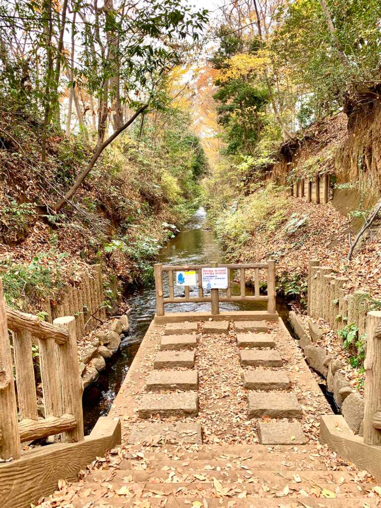 玉川上水
