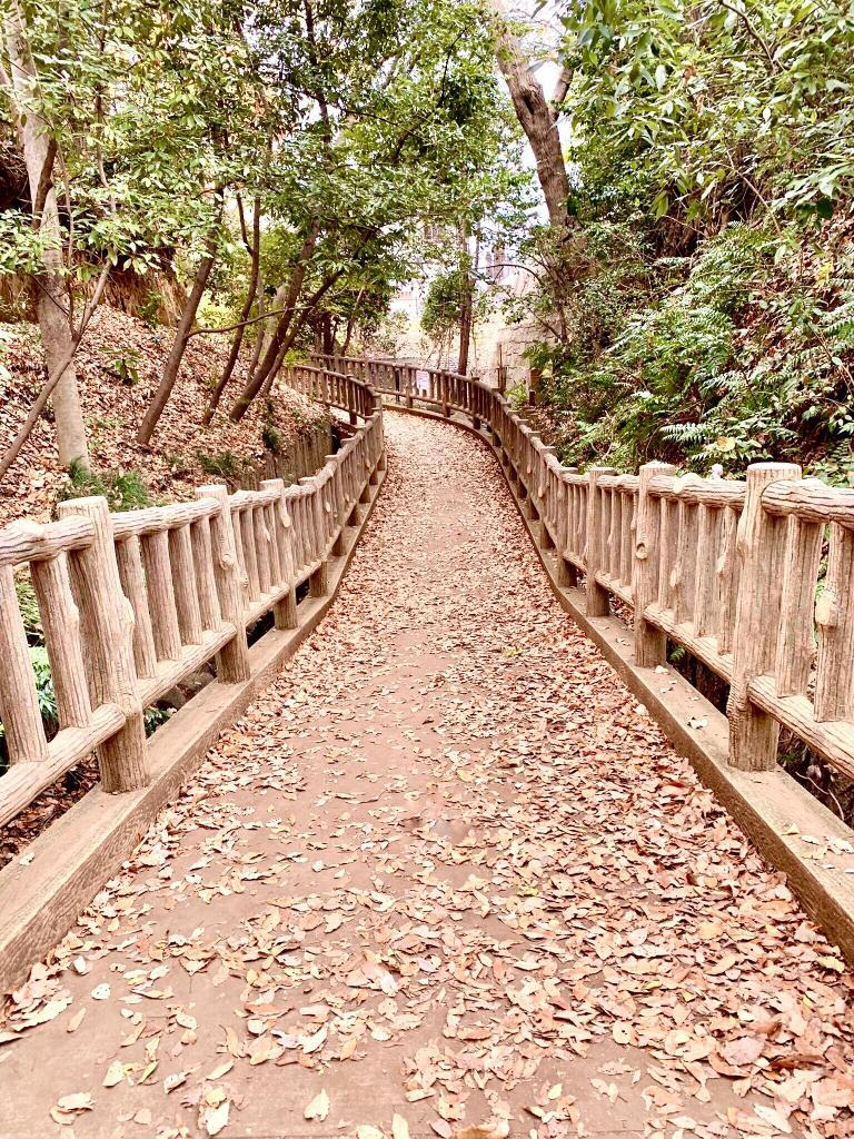玉川上水