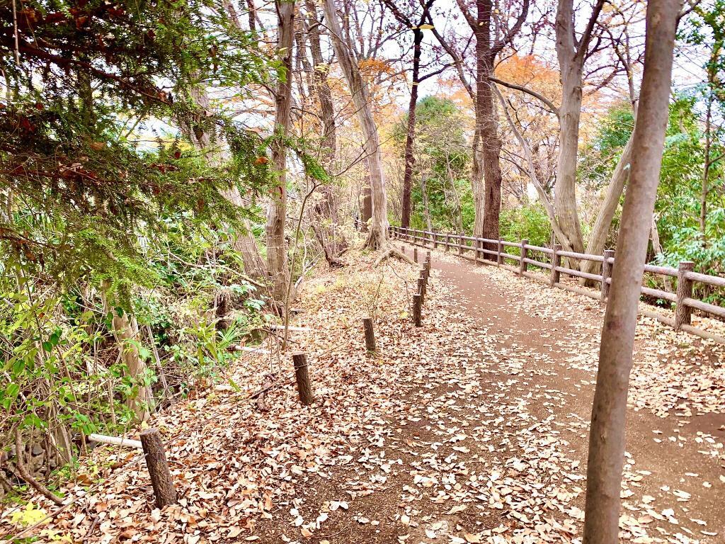 新堀用水 胎内堀坑口