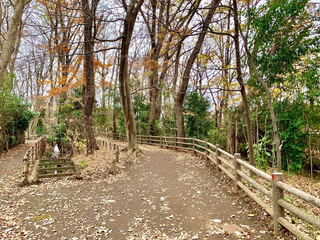 玉川上水