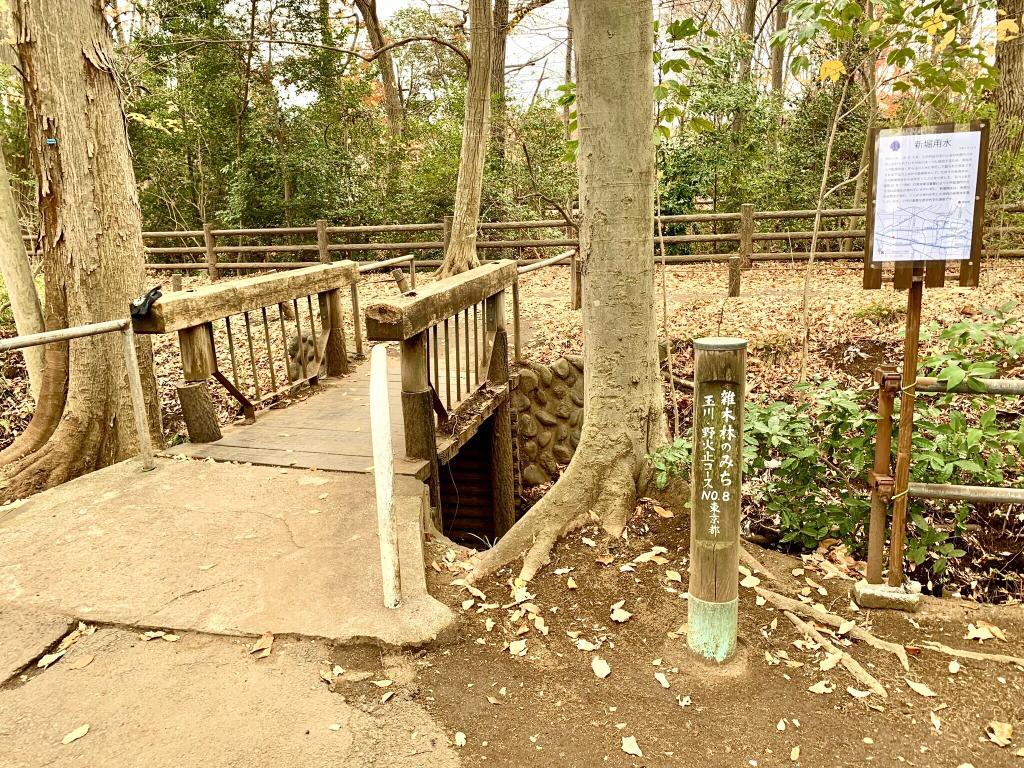 新堀用水 胎内堀坑口