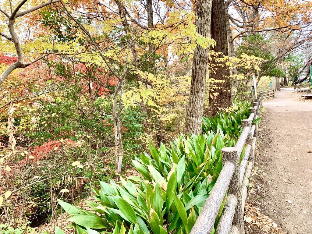 玉川上水