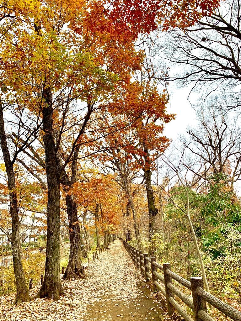 玉川上水