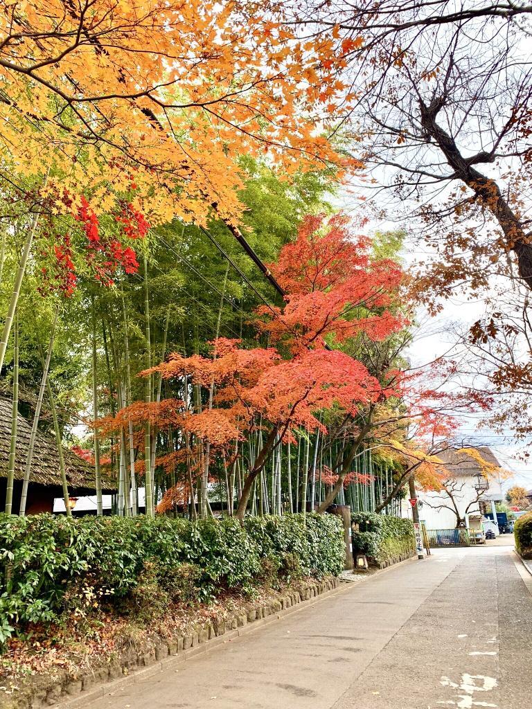 玉川上水