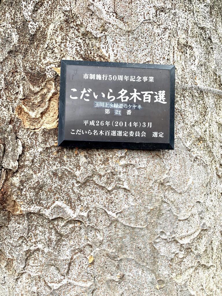 玉川上水