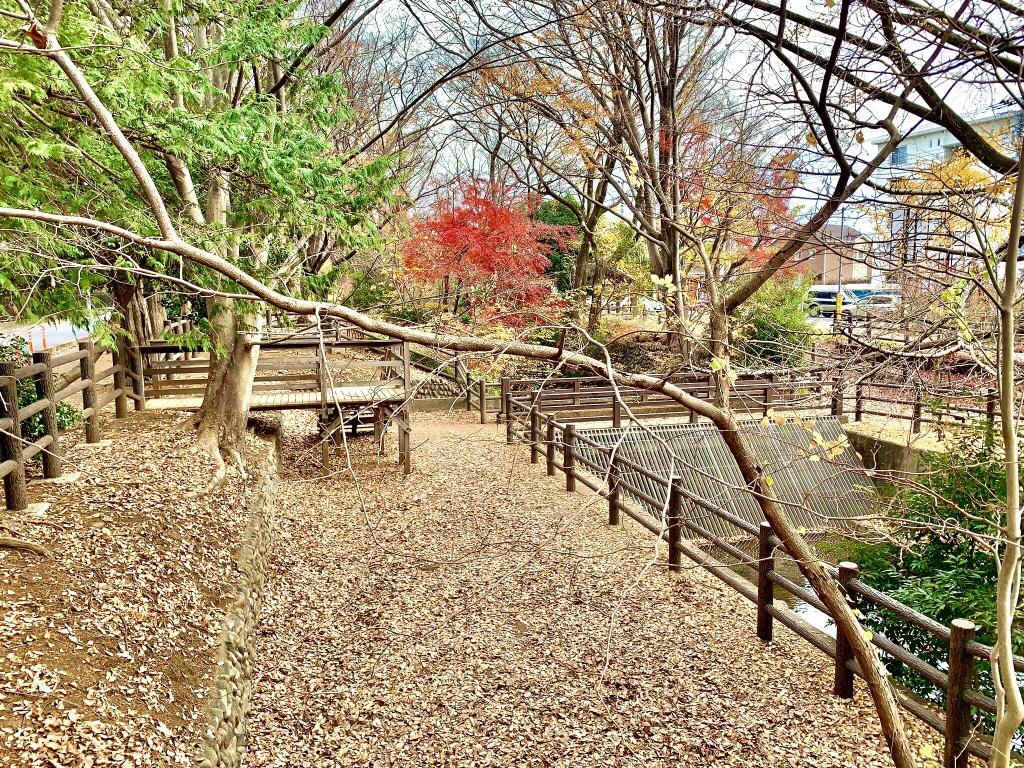 玉川上水