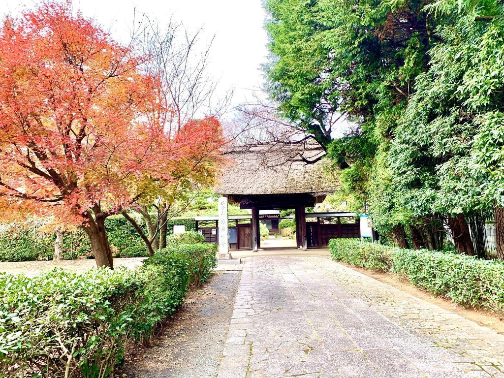 玉川上水