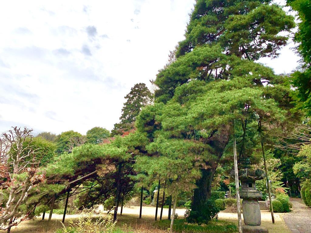 玉川上水