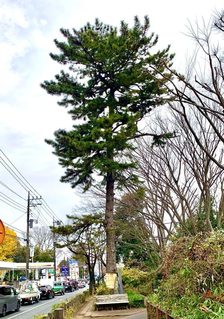 玉川上水