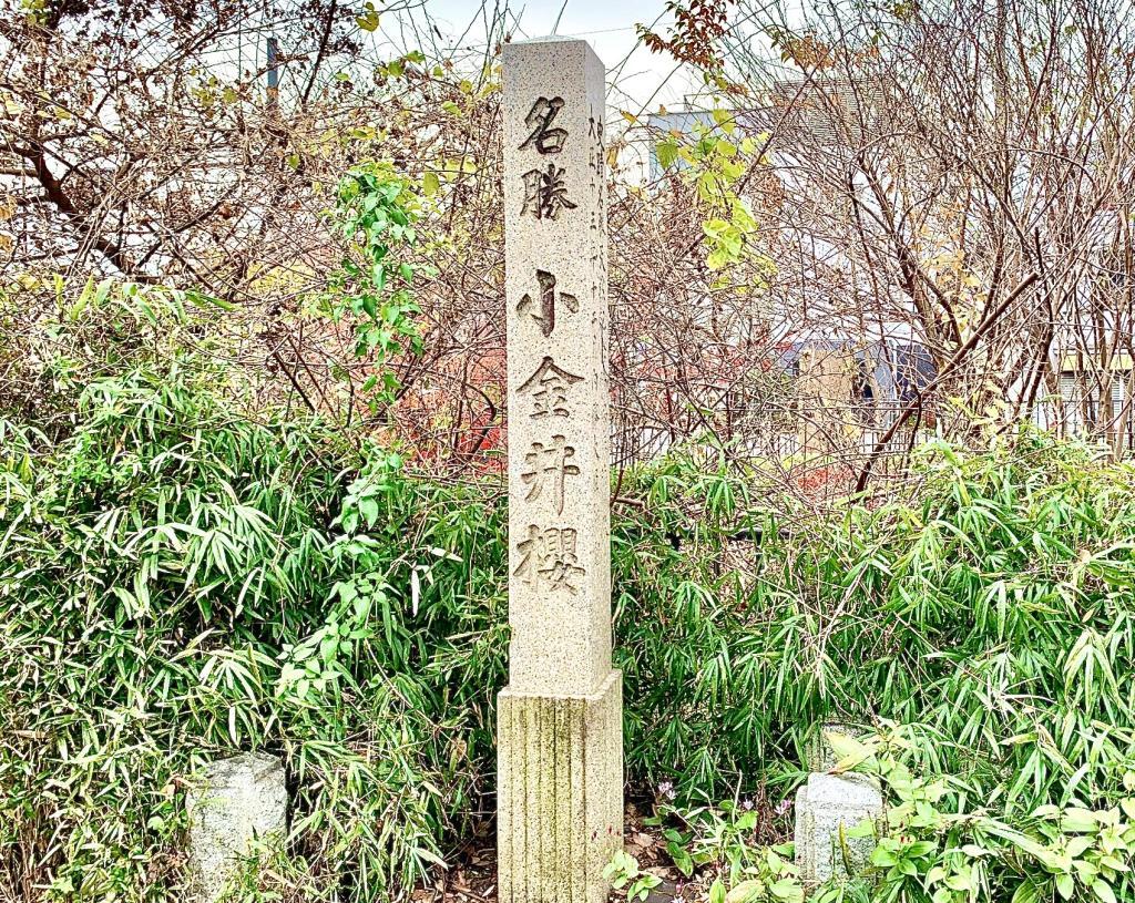 玉川上水