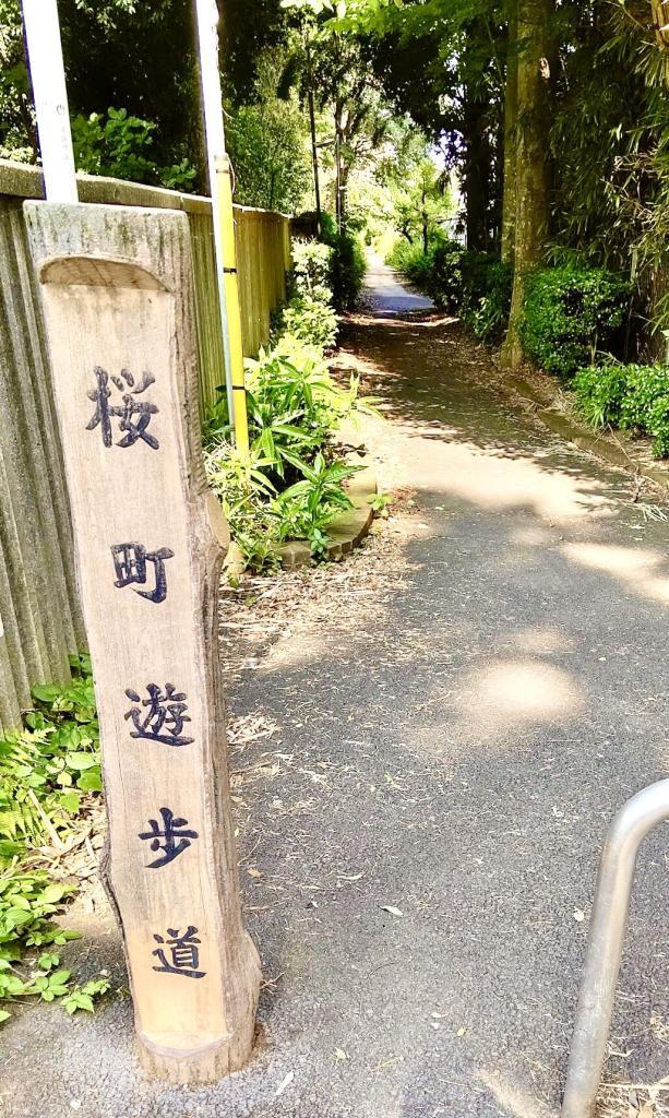 玉川上水