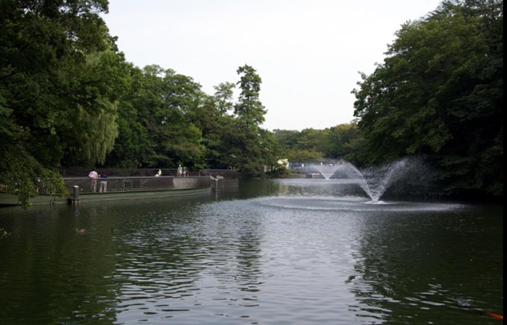 玉川上水