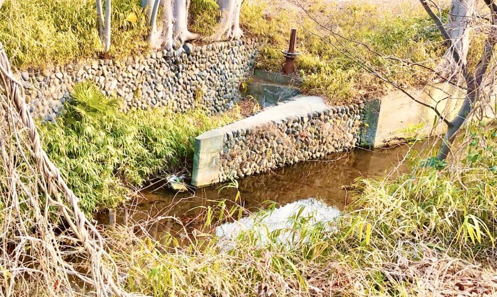 玉川上水