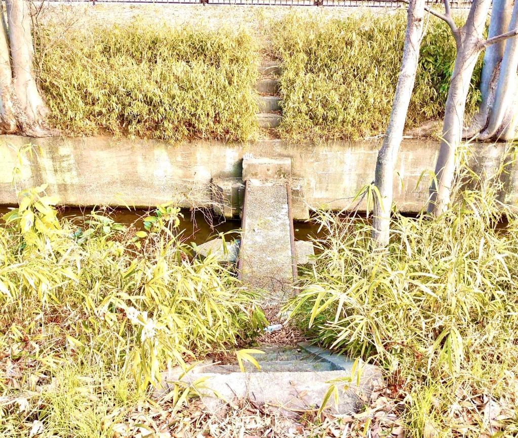 玉川上水